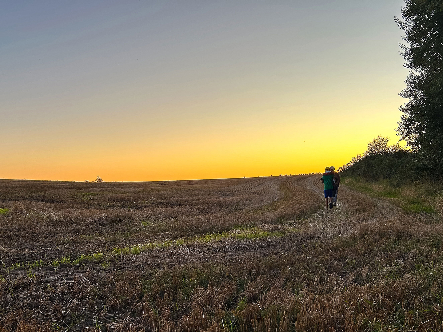 i-kigai.be background image